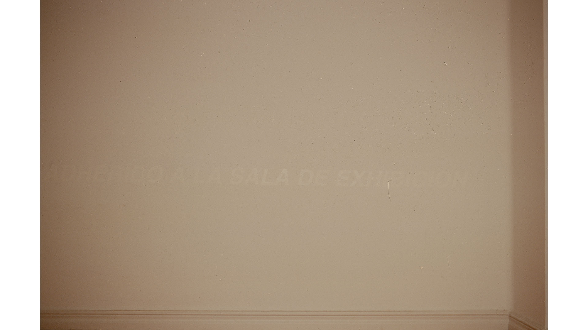Texto Regina