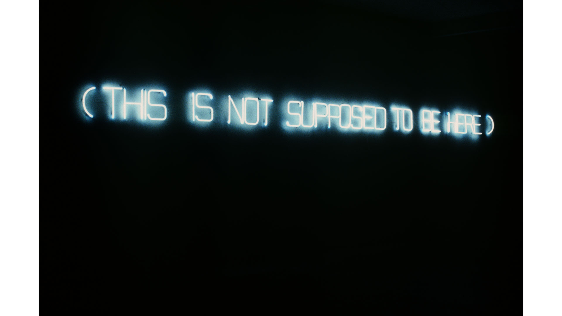 White noise, white silence