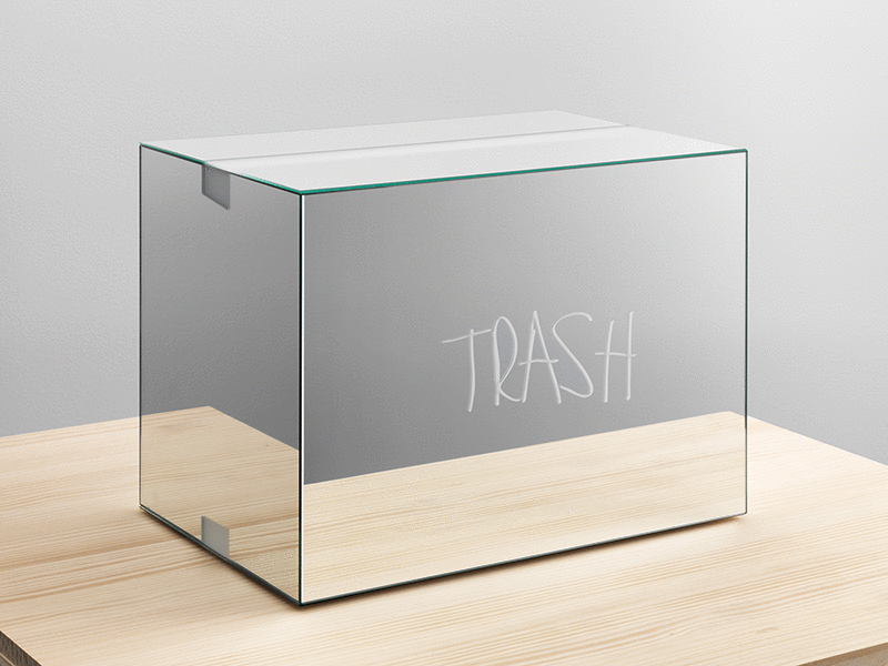 Trash Mirror Boxes